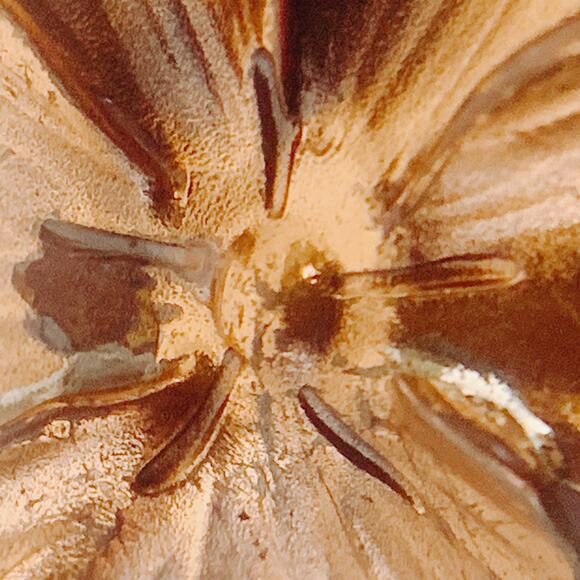 VTG Signed Stuart Nye 50s 60s Copper, Sterling Silver Double Flower Brooch Pin - Picture 11 of 13